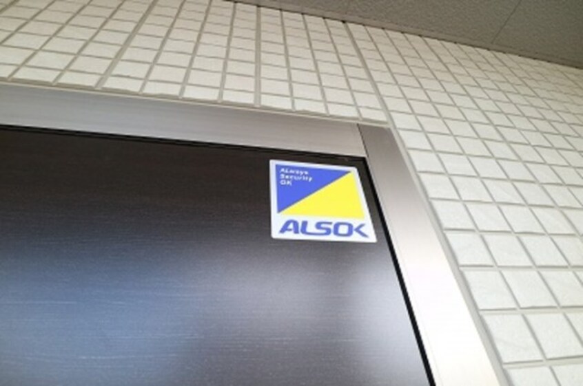  Ｃａｓａ　ｒａｆｆｉｎｅ　青地