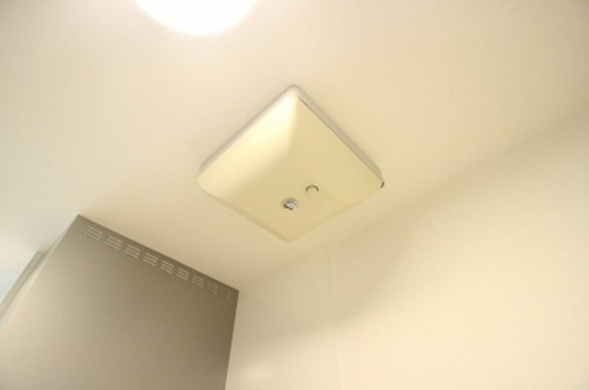  Ｃａｓａ　ｒａｆｆｉｎｅ　青地