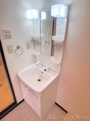  サラナフラット