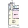 ディアコート唐崎 1LDKの間取り