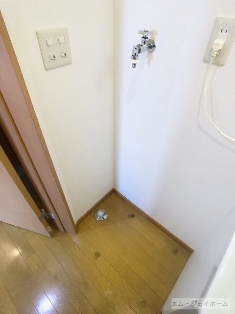  グレイスコートつる