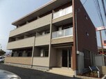 フリージア