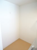  グランデ　ピーノ　トレ