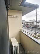  リトルアグリン