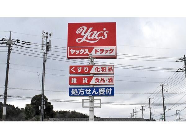 ヤックスドラッグ茂原早野店(ドラッグストア)まで1027m プリ―トG