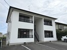 グリーンピースの外観