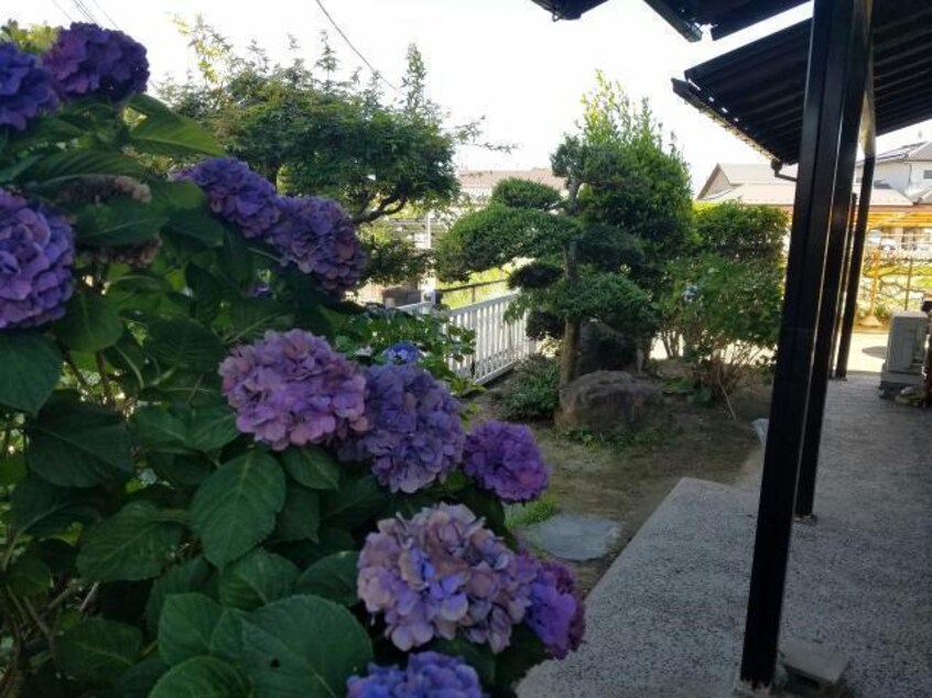  下平窪一丁目貸家