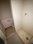  グレースライン