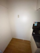  グレースライン