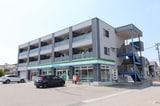 サングレース