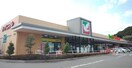 ヨークベニマル上荒川店(スーパー)まで2307m コーポ中山