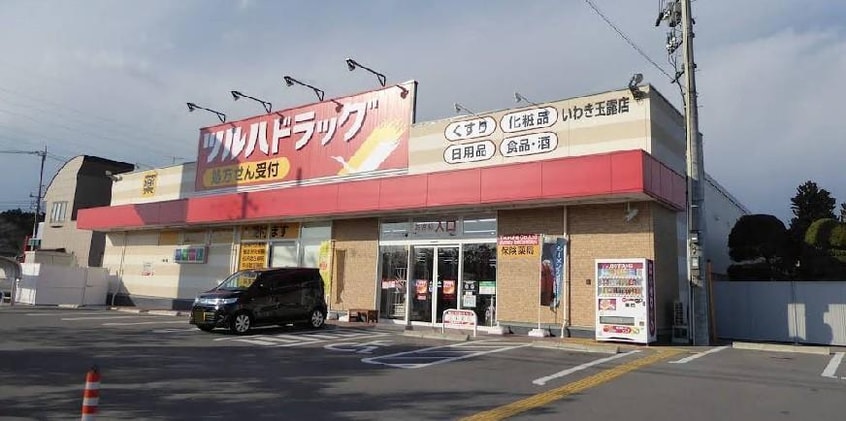 ツルハドラッグいわき玉露店(ドラッグストア)まで1166m ユーミーシャーモ