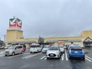 ヨークベニマルいわき泉店(スーパー)まで1086m ソラーレ