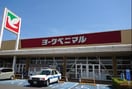 ヨークベニマル好間店(スーパー)まで750m 田中マンション