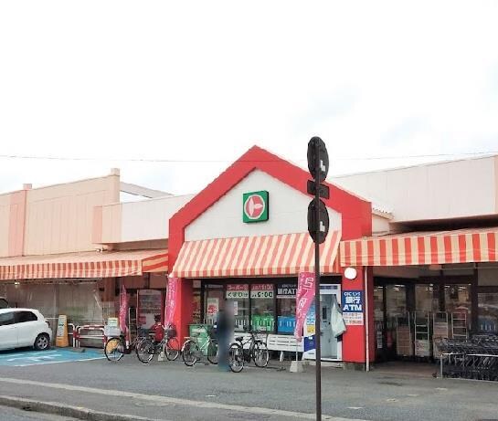 マルト平白土店(スーパー)まで993m ソレアード　B