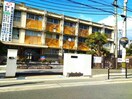 大阪市立西淀中学校(中学校/中等教育学校)まで947m ティクスアパートメント