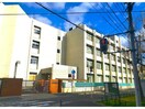 大阪市立歌島小学校(小学校)まで402m トップハイムサノ