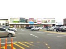 ファッションセンターしまむら千舟店(ショッピングセンター/アウトレットモール)まで856m マンションミネット　