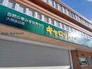 大槻食品館・キャロット本店(スーパー)まで250m ダイアパレス円山北町