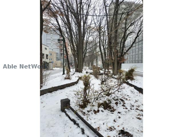  セントフィールドNorth4