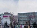イオン札幌桑園ショッピングセンター(ショッピングセンター/アウトレットモール)まで605m エアフォルク植物園