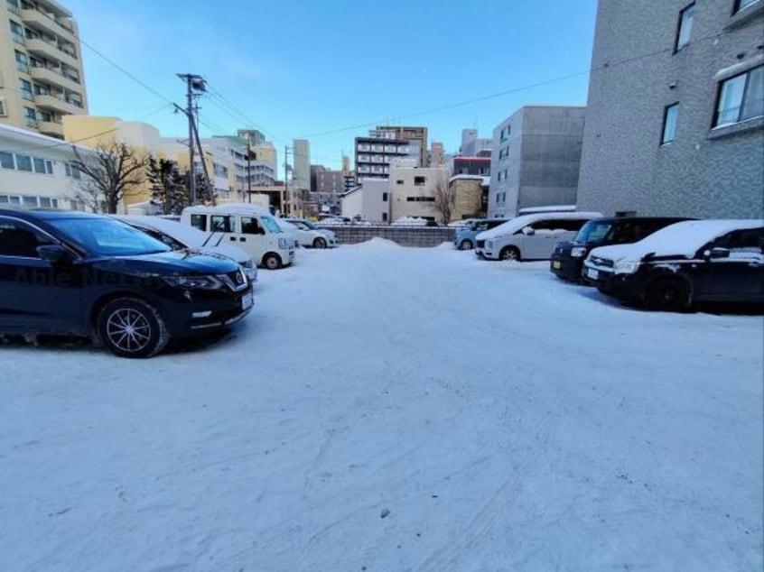  ライオンズガーデン植物園