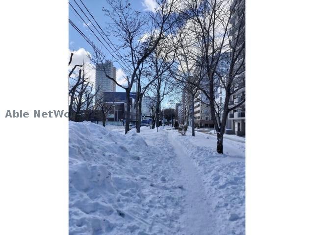  ライオンズガーデン植物園