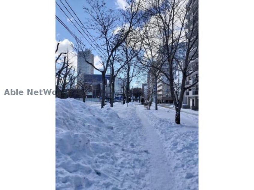  ライオンズガーデン植物園