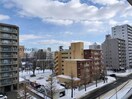  メープル北円山