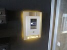  C-SELECTION.STELLA I