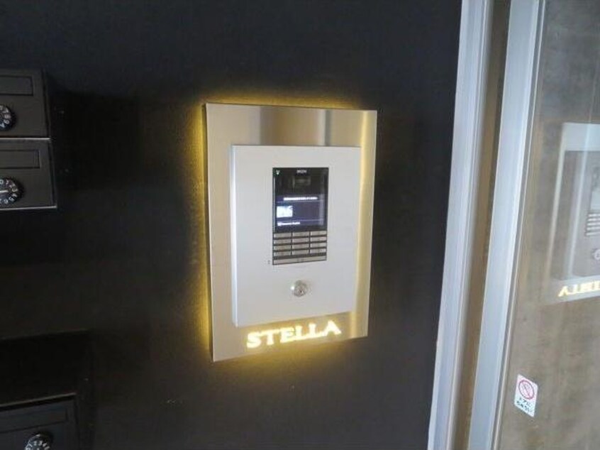  C-SELECTION.STELLA I
