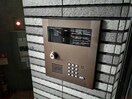  マルベリーガーデン512