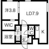 イクス北円山 1LDKの間取り