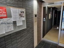  REGULUS桑園