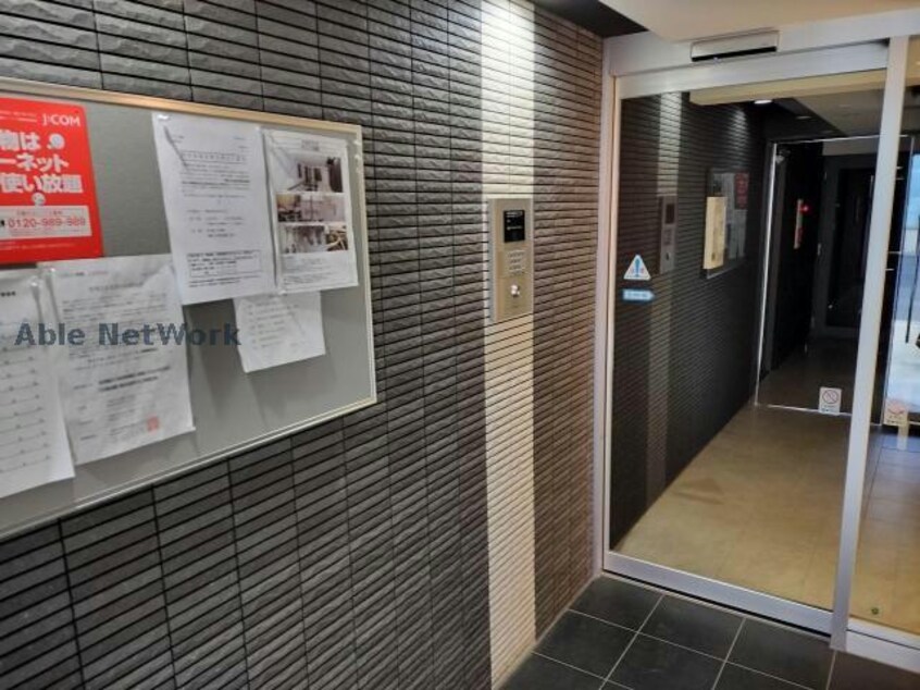  REGULUS桑園