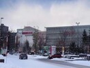 イオン札幌桑園店(スーパー)まで494m クリーンリバー北９条