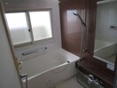  ラピス桑園