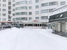 東光ストア宮の森店(スーパー)まで273m ノーチェ