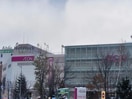 イオン札幌桑園ショッピングセンター(ショッピングセンター/アウトレットモール)まで918m ライオンズマンション植物園前
