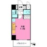WEST10 1Rの間取り