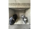  WEST10