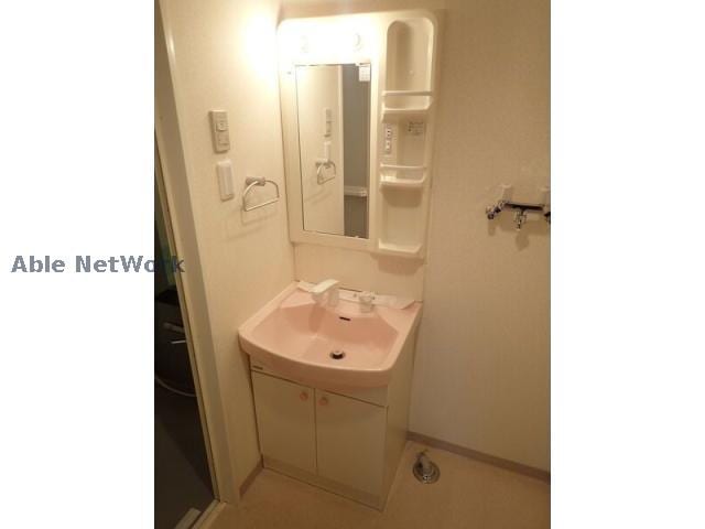  シェーンブルン宮の森