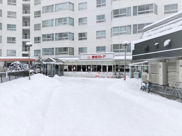 東光ストア宮の森店(スーパー)まで613m (仮称)宮の森3条3丁目賃貸MS