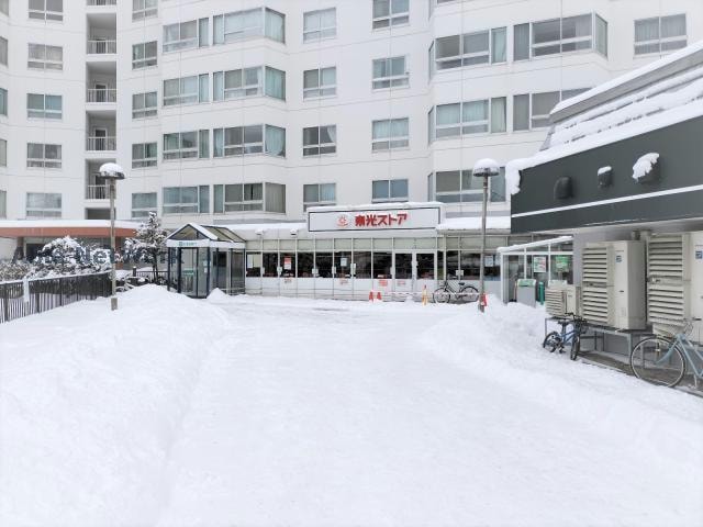 東光ストア宮の森店(スーパー)まで613m (仮称)宮の森3条3丁目賃貸MS