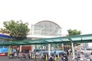 山陽マルナカ新倉敷店(スーパー)まで340m イー　ピース　ドゥ　プリンセス
