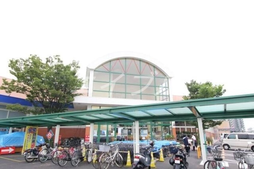 山陽マルナカ新倉敷店(スーパー)まで340m イー　ピース　ドゥ　プリンセス