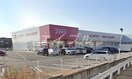 ディスカウントドラッグコスモス玉島爪崎店(ドラッグストア)まで153m イー　ピース　ドゥ　プリンセス