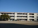 玉野市立田井小学校(小学校)まで1032m フレグランス十禅寺　B