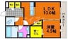 Coral Reef M 1LDKの間取り