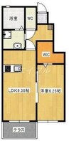Talassa 1LDKの間取り